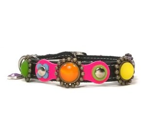 Extravagant Kleurrijke Kattenhalsband met Bloemetjes