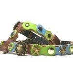 Originele trendy honden-tuigje met groen blauwe hippe en modieuse pastel kleuren, design Spring