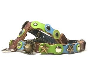 Trendiges Hunde-Geschirr mit grün blaue Modische Pastell Farben, Design Spring