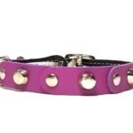 Leder Nieten Katzenhalsband mit Sicherheitsverschluss verstellbar mit Gummizug Schnalle in braun lila Farben, Design Studded