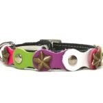 Imaginativo Collar de Gato de Cuero Rosa Verde Blanco