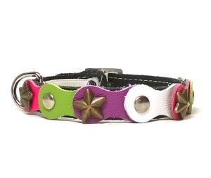 Fantasierijk Kattenhalsband Design in Roze Lila en Groen