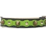 Cómodo collar para perros hecho a mano con piel de color verde y elegantes tachuelas y pinchos, Diseño Studded