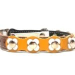 Floral cat collar with buckle and safety elastic in happy brown yellow white colors, design Flower Power
