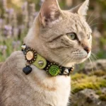 Grey cat wearing the leather cat collar with green rose & heart details, highlighting the natural colour contrast and distinctive handmade charm of the “3D Floral Wildthorn” design.