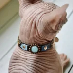 Nacktkatze mit dem handgefertigten Lederhalsband mit blauen Steinen, Fisch‑Patches und Seesternen, in einem modernen und expressiven Ozeandesign.
