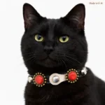 Posh white‑leather feline collar with coral stones on black‑fur model, mixed metal studs, elastic clasp and soft inner layer.