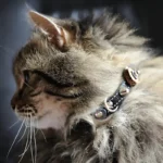 Moderne breakaway kattenhalsband met ruwe leren patches, olijfhouten schijfjes en een flexibele, comfortabele binnenlaag.