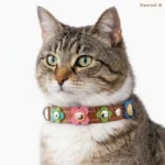 Collar Gato Floral con Flores de Colores de Cuero – “Vintage Bloom Fiesta” - Imagen 3