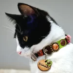 Poes Dinah draagt een olijfhouten kattenpenning passend bij onze vintage stijl poezenhalsband met roze roos, bloemen en steentje.