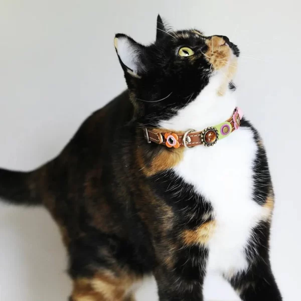 Poes Sunny laat onze vintage stijl leren poezenhalsband zien met roze roos, bloemen en steentje.