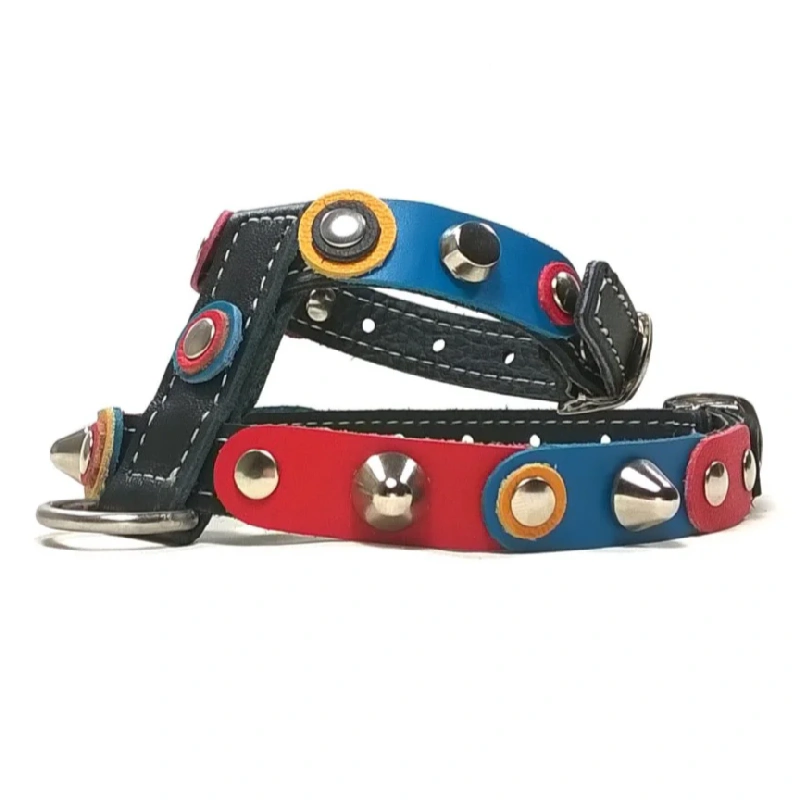 Harnais Chien Cuir “Barça Bold” – Vue Droite Harnais en cuir avec panneaux bleu‑rouge, clous argentés, pointes arrondies et finition propre, vu du côté droit.