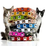 Collier Floral pour Chat avec Cuir Coloré & Fleurs Assorties - “Flower Power”