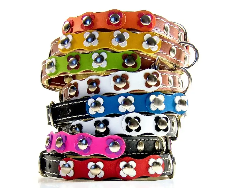 leather-cat-collar-all-colors-flower-power Collier Floral pour Chat avec Patchs en Cuir Colorés & Fleurs Assorties - “Flower Power” – Image 1