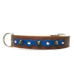 Großes braunes Lederhalsband mit tiefem navyblauem Überzug, silbernen Nieten und feinen Spikes aus dem “Deep Elegant” Design. Eine moderne Wahl für Hunde wie den Labrador Retriever, Golden Retriever und Vizsla, deren warme Fellfarben das Blau hervorheben.