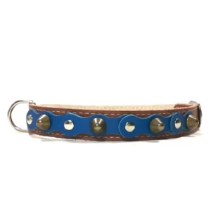 Mittelgroßes braunes Lederhalsband mit einer satten dunkelblauen Oberlage, silbernen Nieten und glatten Spikes aus der “Deep Elegant” Linie. Passend für ausgeglichene Rassen wie den Cocker Spaniel, Beagle und Shiba Inu, die den eleganten Look tragen.