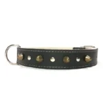 Collar de cuero negro de la línea “Earth Power”, con púas marcadas y costuras reforzadas. Ideal para perros grandes activos como Labradores, Golden Retrievers, Border Collies y Pastores Australianos.