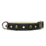 Collar de cuero negro de la línea “Earth Power”, con tachuelas doradas y costuras limpias. Adecuado para perros medianos como Beagles, Cocker Spaniels, Shiba Inus, Shelties y Caniches Medianos.