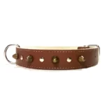 Collar de cuero marrón de la línea “Earth Power”, con púas fuertes y costuras firmes. Ideal para perros grandes enérgicos como Pastores Australianos, Border Collies, Vizslas y Huskies.