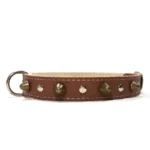 Collar de cuero marrón de la línea “Earth Power”, con tonos cálidos, tachuelas doradas y costuras resistentes. Adecuado para perros medianos como Beagles, Cocker Spaniels, Shiba Inus, Shelties y Caniches Medianos.
