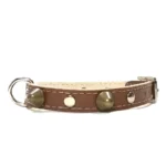 Collar de cuero marrón de la línea “Earth Power”, con tachuelas artesanales y costuras finas. Perfecto para perros pequeños expresivos como Chihuahuas, Jack Russell Terriers, Shih Tzus y Schnauzers Miniatura.