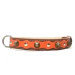 Mittelgroßes braunes Lederhalsband mit lebhafter orangefarbener Oberlage, silbernen Nieten und messingfarbenen Spikes. Für Beagle, Cocker Spaniel und den weniger verbreiteten Basenji.