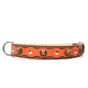 Mittelgroßes braunes Lederhalsband mit lebhafter orangefarbener Oberlage, silbernen Nieten und messingfarbenen Spikes. Für Beagle, Cocker Spaniel und den weniger verbreiteten Basenji.