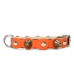 Kleines braunes Lederhalsband mit orangefarbener Oberlage, silbernen Nieten und messingfarbenen Spikes. Für Chihuahuas, Pomeranians und den seltenen Zwergpinscher.