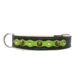 Collier robuste en cuir noir avec couche vert forêt, clous argentés et pointes en laiton du design “Forest Bold”. Parfait pour les chiens confiants comme le Labrador Retriever et le Rhodesian Ridgeback, dont les teintes chaudes complètent le vert profond.