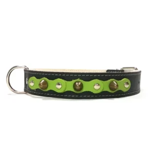 Stoere zwarte leren halsband met bosgroene toplaag, zilveren studs en messing spikes uit het “Forest Bold” ontwerp. Ideaal voor avontuurlijke honden zoals de Labrador Retriever en Rhodesian Ridgeback, waarvan de warme vacht het diepe groen versterkt.