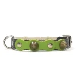 Collier en cuir noir avec couche vert forêt, clous argentés et pointes en laiton du design “Forest Bold”. Idéal pour les petits chiens comme les Chihuahuas et les Teckels, dont les tons chauds ressortent magnifiquement avec le vert profond.