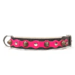 Medium black leather dog collar with a bright fuchsia top layer, flat silver studs and rounded brass spikes from the “Glam Diva” line. A confident, eye‑catching style for medium dogs such as the Beagle, Cocker Spaniel and the less‑popular Kooikerhondje, whose elegant coat enhances the vibrant tone.