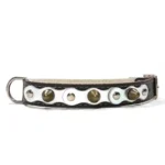 Middelgrote zwarte leren halsband met een heldere zilveren toplaag, platte zilveren studs en afgeronde zilveren spikes, gezien vanaf de linkerzijde. Voor Beagles, Cocker Spaniëls en het minder populaire Kooikerhondje.