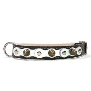 Middelgrote zwarte leren halsband met een heldere zilveren toplaag, platte zilveren studs en afgeronde zilveren spikes, gezien vanaf de linkerzijde. Voor Beagles, Cocker Spaniëls en het minder populaire Kooikerhondje.
