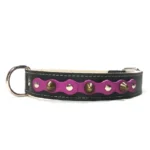 Großes schwarzes Lederhalsband mit auffälliger violetter Oberlage, silbernen Nieten und weichen Spikes aus dem “Mystic Chic” Design. Eine glamouröse Wahl für große Hunde wie den Labrador Retriever, Golden Retriever und Vizsla, deren warme Fellfarben das tiefe Lila verstärken.