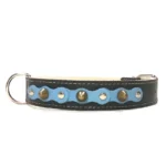 Stoere zwarte leren halsband met babyblauwe toplaag, zilveren studs en zachte spikes uit de “Ocean Breeze” lijn. Perfect voor grote honden zoals de Labrador Retriever, Golden Retriever en Vizsla, waarvan de warme vacht prachtig samengaat met het koele kustblauw.