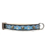 Elegante zwarte leren halsband met babyblauwe toplaag, zilveren studs en zachte spikes uit het “Ocean Breeze” ontwerp. Een stijlvolle match voor actieve honden zoals de Australian Shepherd, Border Collie en Sheltie, waarvan de heldere vacht het frisse blauw versterkt.