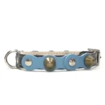 Zwarte leren halsband met een babyblauwe toplaag, zilveren studs en zachte spikes uit het “Ocean Breeze” ontwerp. Een frisse look voor kleine honden zoals Chihuahua’s, Teckels en Pomeranians, waarvan de warme vacht mooi contrasteert met het luchtige blauw.