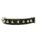Collier en cuir noir de la ligne “Punk”, avec pointes argentées et coutures renforcées. Convient aux chiens moyens comme les Whippets, Basenjis, Kooikerhondjes et Schnauzers Standards.