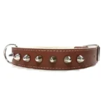 Collier en cuir marron de la ligne “Punk”, avec pointes argentées robustes et coutures durables. Convient aux grands chiens aventureux comme les Boxers, Airedale Terriers, Beaucerons et Bergers Belges.