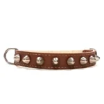 Collier en cuir marron de la gamme “Punk”, avec tons naturels et pointes argentées. Idéal pour les chiens moyens expressifs comme les Spitz Finlandais, Épagneuls Bretons, Terriers Tibétains et Podengos Portugais.