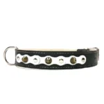 Collar resistente de cuero negro con capa blanca, tachuelas plateadas y picos de latón del diseño “Pure Chic”, ideal para Bracos, Setters, Pointers y Rhodesian Ridgebacks elegantes.