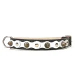 Collar artesanal de cuero negro con capa blanca, tachuelas plateadas y picos de latón del diseño “Pure Chic”, perfecto para Whippets, Basenjis, Kooikerhondjes y Schnauzers medianos.