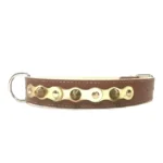 Grand collier en cuir marron avec couche dorée éclatante, clous dorés et pointes arrondies. Pour des chiens de grande taille comme le Bouvier Bernois, le Berger Allemand et le Leonberg, à l’allure naturellement majestueuse.