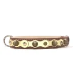 Collier moyen en cuir marron avec couche dorée polie, clous dorés et pointes arrondies. Pour Border Collies, Springer Spaniels et le moins populaire Épagneul Breton, dont les couleurs chaudes s’accordent au doré.