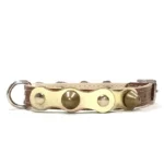 Petit collier en cuir marron avec couche dorée brillante, clous plats dorés et pointes arrondies dorées. Pour Yorkshire Terriers, Shih Tzus et le moins courant Bichon Havanais, dont le pelage doux valorise les tons dorés.