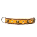 Mittelgroßes braunes Lederhalsband mit einer lebhaften gelben Oberlage, flachen silbernen Nieten und abgerundeten messingfarbenen Spikes aus der “Sunny Joy” Linie. Passend für freundliche, ausdrucksstarke Rassen wie den Beagle, Cocker Spaniel und Shiba Inu.