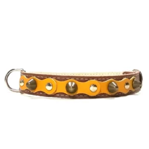 Mittelgroßes braunes Lederhalsband mit einer lebhaften gelben Oberlage, flachen silbernen Nieten und abgerundeten messingfarbenen Spikes aus der “Sunny Joy” Linie. Passend für freundliche, ausdrucksstarke Rassen wie den Beagle, Cocker Spaniel und Shiba Inu.