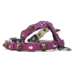 Arnés de cuero negro con una capa morada intensa, decorado con tachuelas metálicas y picos marcados, visto desde el lado izquierdo. El color vibrante, el hardware pulido y las costuras limpias crean un estilo místico, seguro y chic.