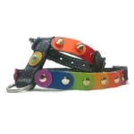 Harnais en cuir noir décoré de pièces arc‑en‑ciel vives et de pointes argentées arrondies et brillantes, vu de droite.